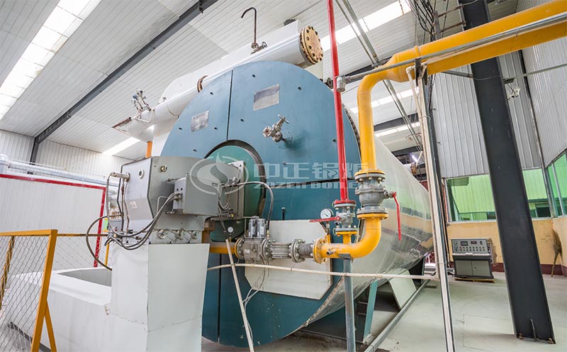 2t蒸汽鍋爐客戶案例圖片