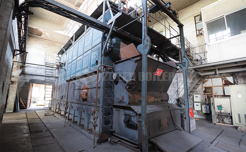 12噸生物質鍋爐客戶案例圖片