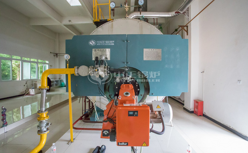 非巴瑟生物質蒸汽鍋爐客戶案例圖片