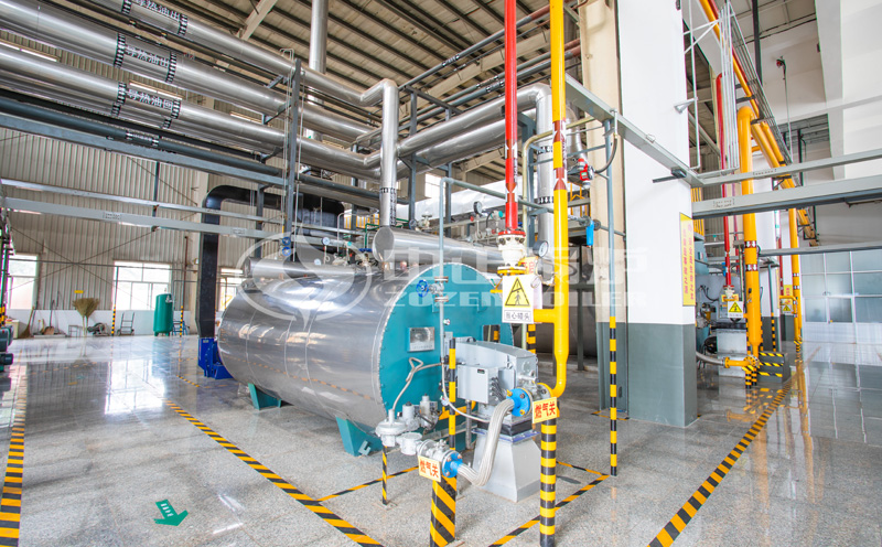 撬裝式集裝箱鍋爐圖片大全客戶案例圖片