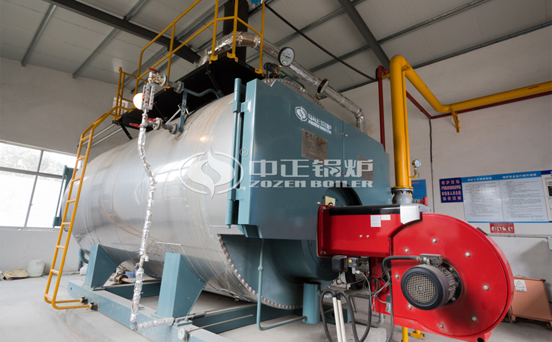 燃氣蒸汽鍋爐價格客戶案例圖片