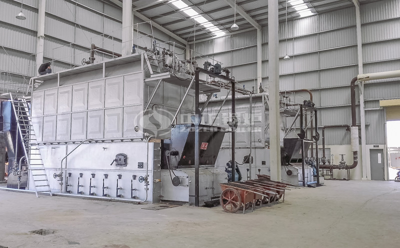 生物質熱水鍋爐廠家客戶案例圖片